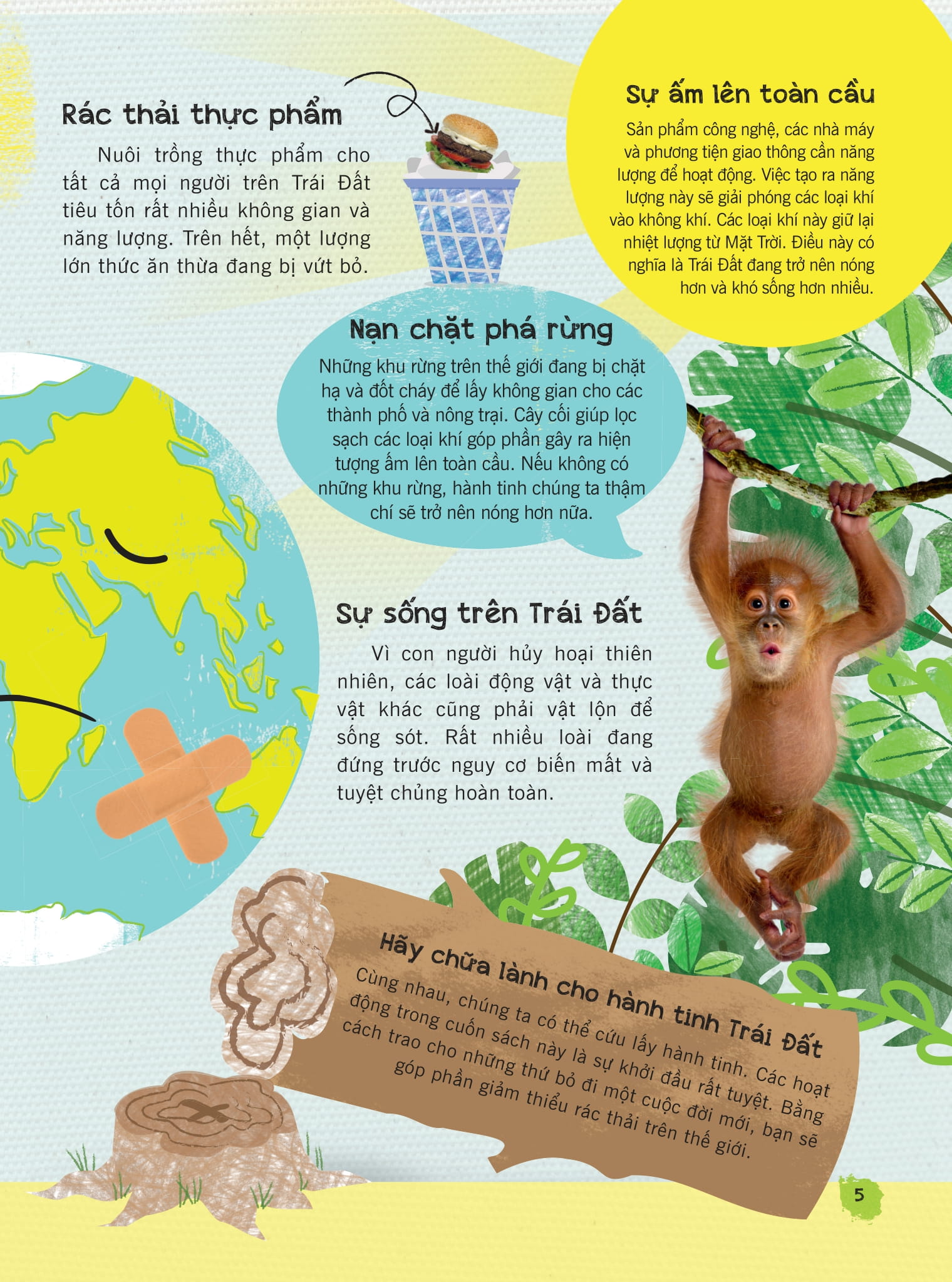 recycle and remake - những ý tưởng sáng tạo biến cũ thành mới - Ảnh 4