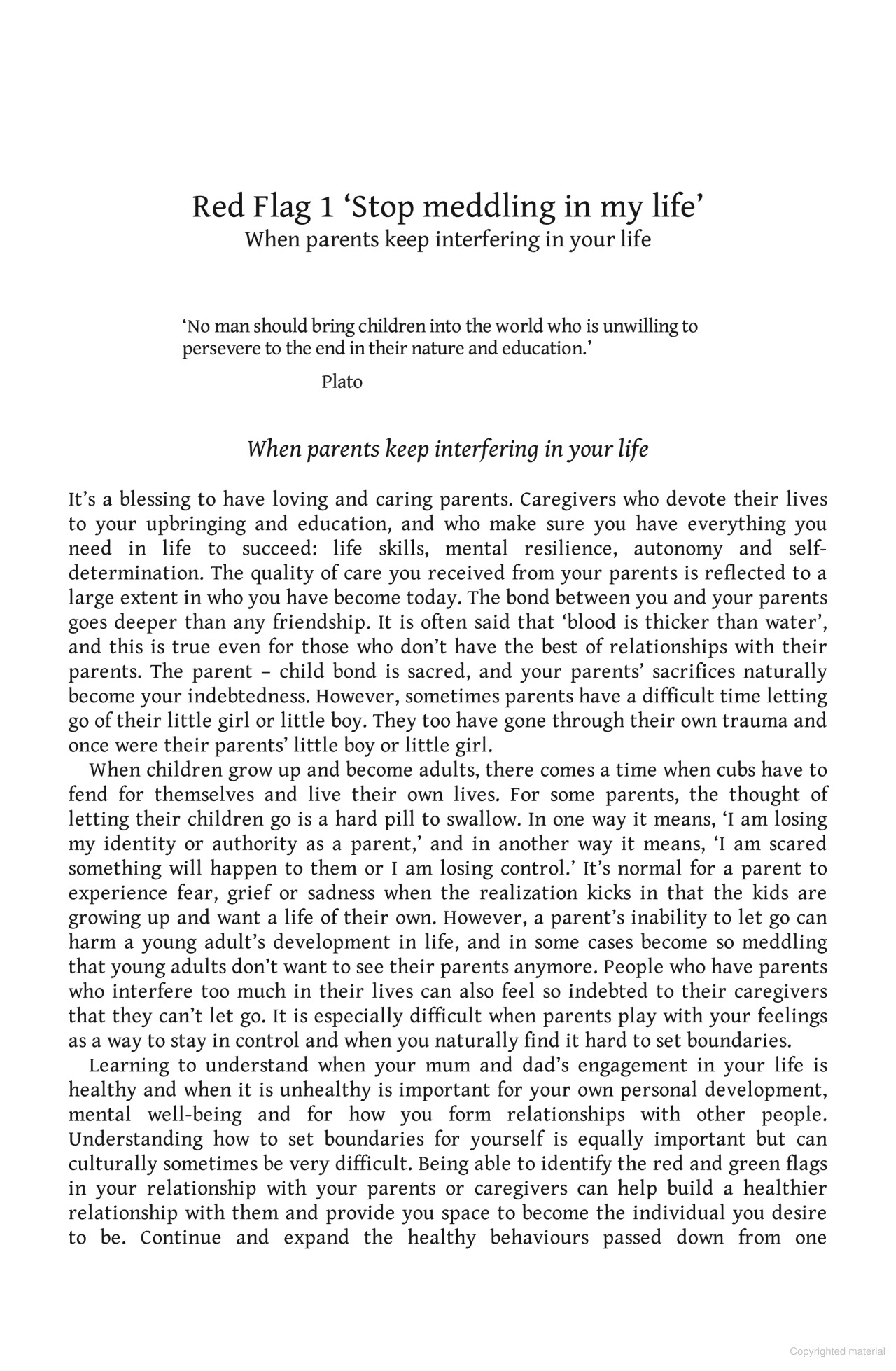 red flags, green flags - Ảnh 3