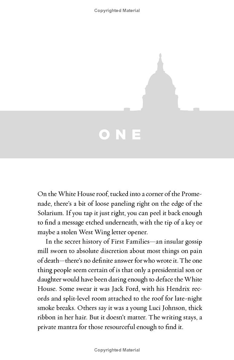 Red, White And Royal Blue - Ảnh 4