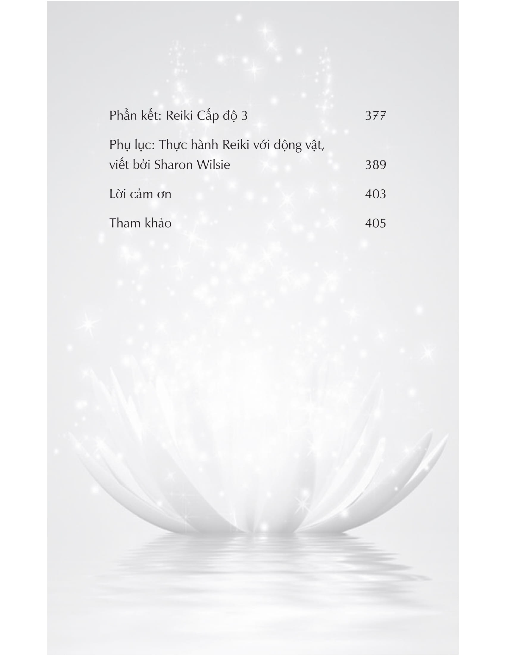 reiki - nghệ thuật chữa lành bằng năng lượng - Ảnh 14