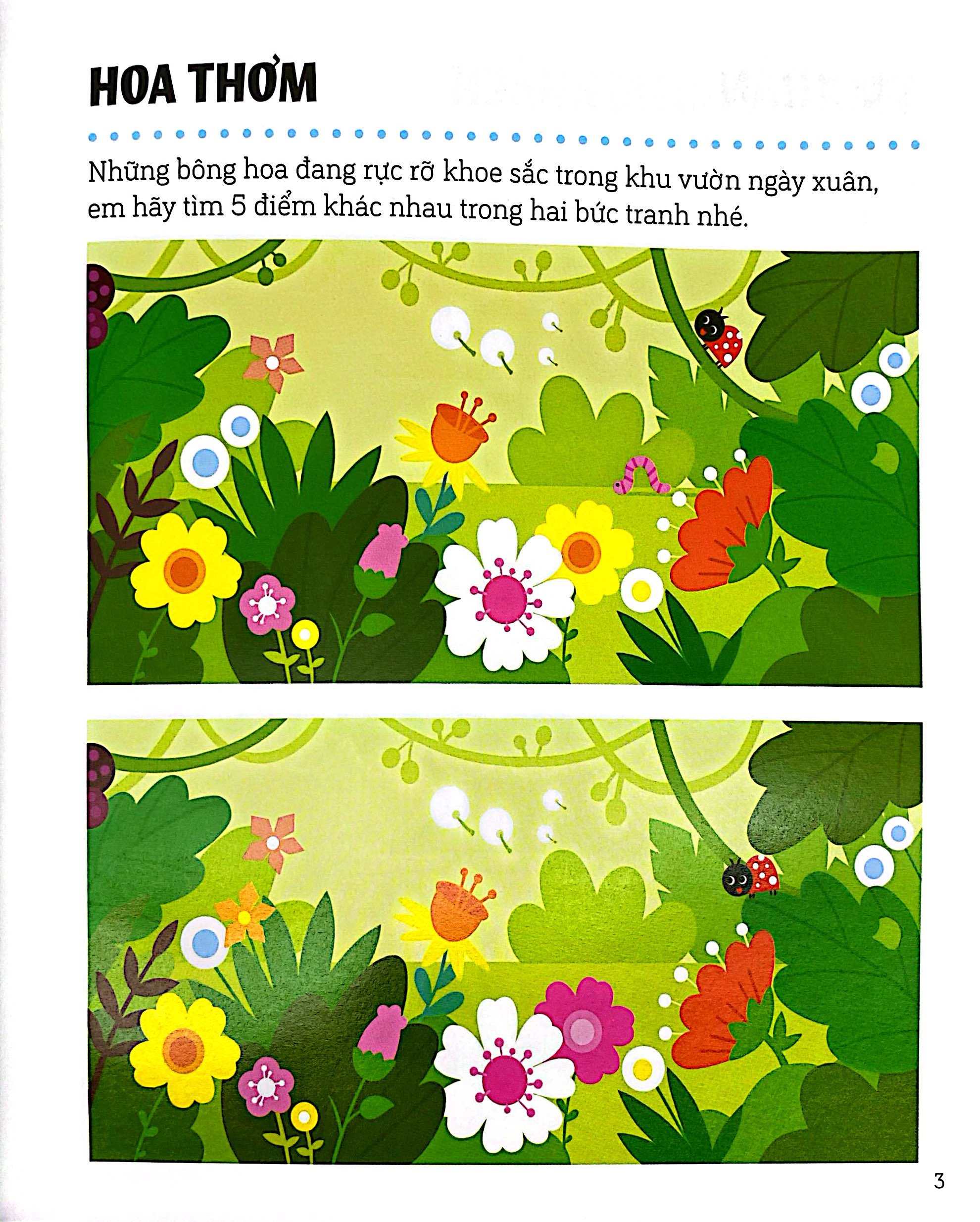 Rèn Luyện Khả Năng Tập Trung - Tìm Điểm Khác Nhau - Ảnh 4