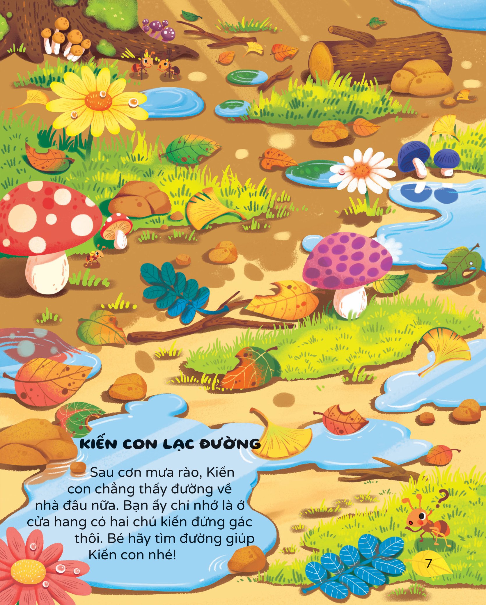 rèn luyện tư duy, nâng cao iq - cùng chơi trốn tìm - Ảnh 6