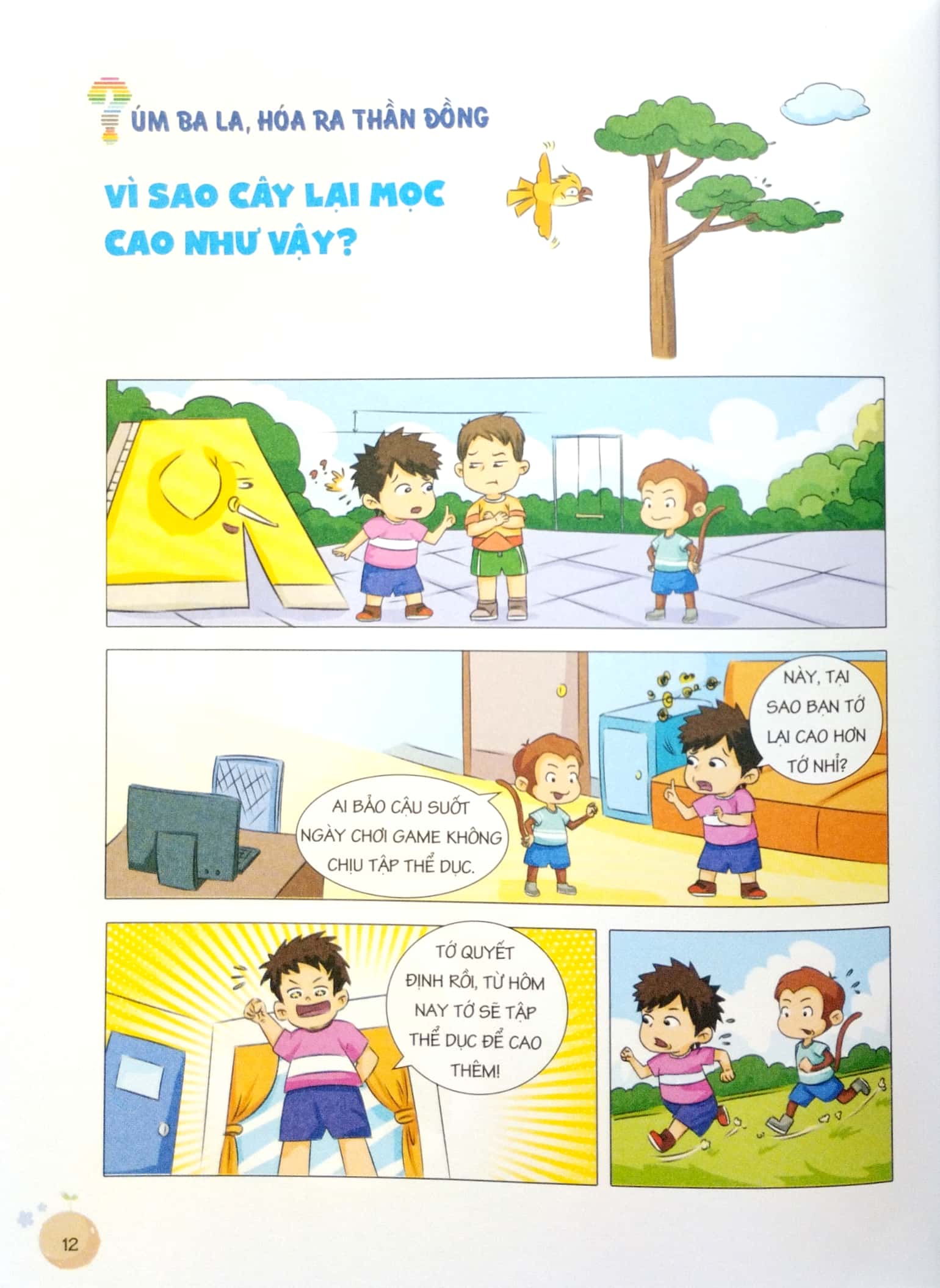 rèn luyện tư duy phản xạ logic - úm ba la hóa ra thần đồng - thế giới thực vật - Ảnh 4