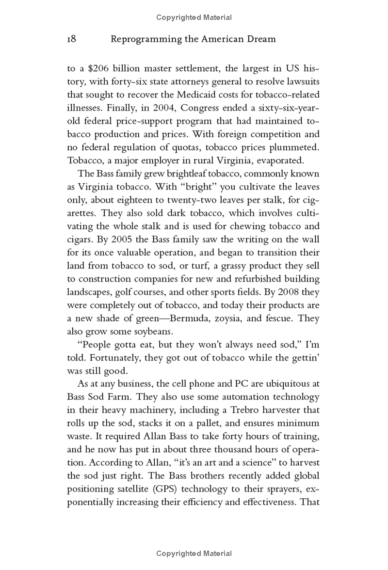 reprogramming the american dream - Ảnh 8