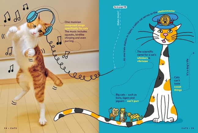 return to factopia! - follow the trail of 400 more facts - Ảnh 4