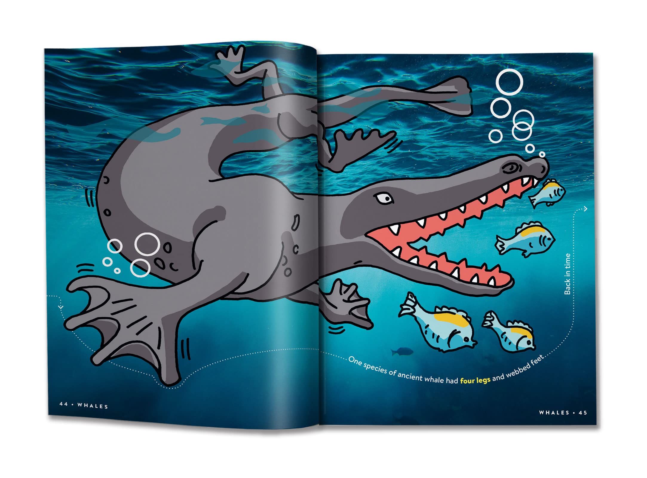 return to factopia! - follow the trail of 400 more facts - Ảnh 5