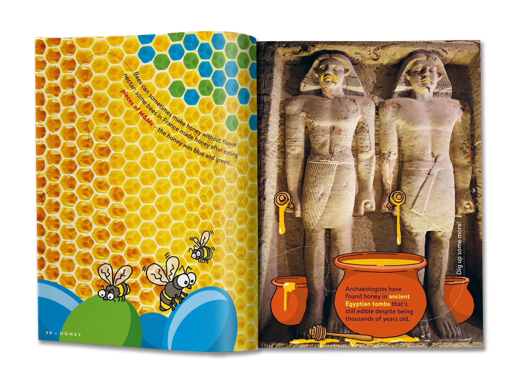 return to factopia! - follow the trail of 400 more facts - Ảnh 6