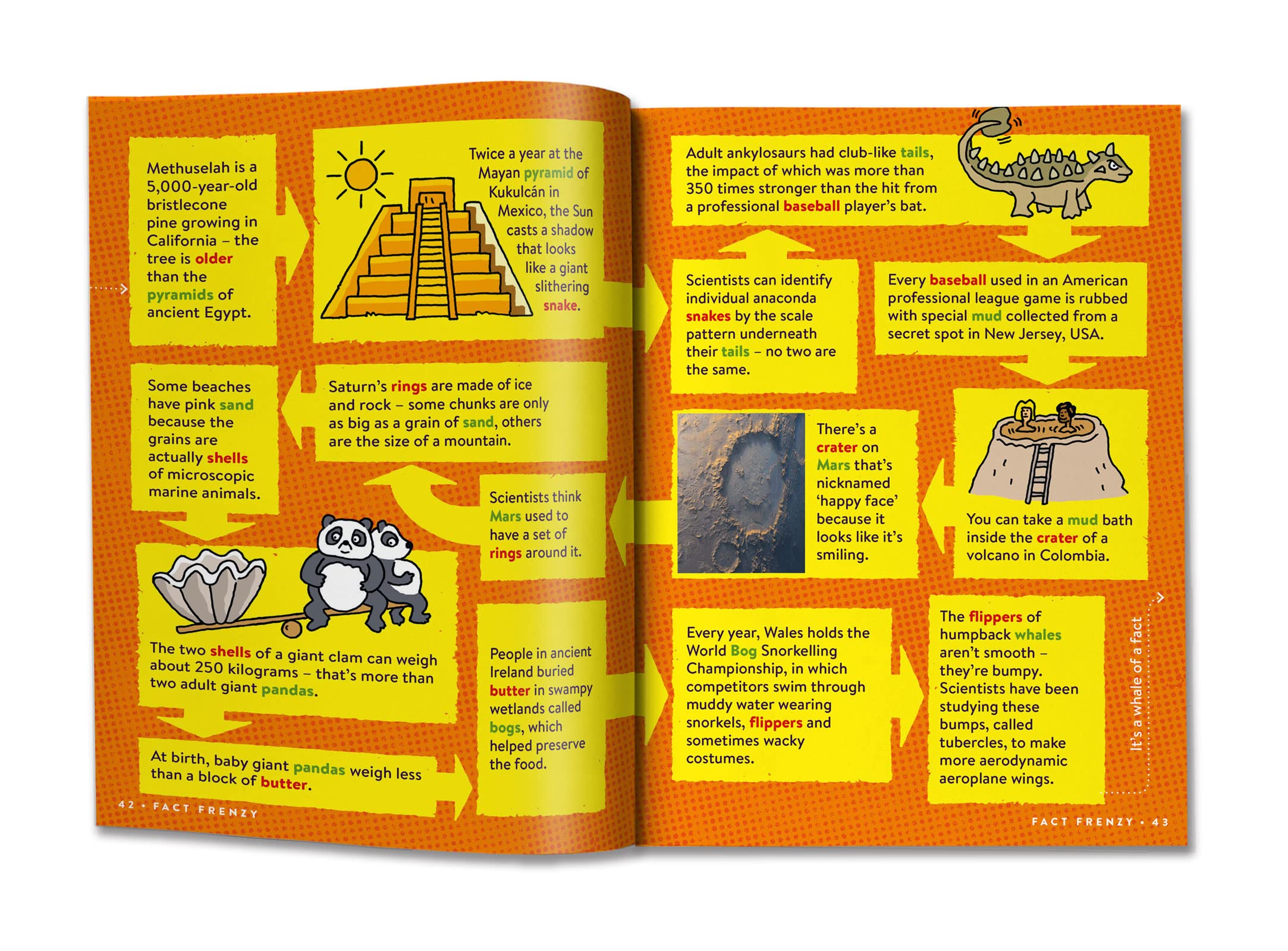 return to factopia! - follow the trail of 400 more facts - Ảnh 9