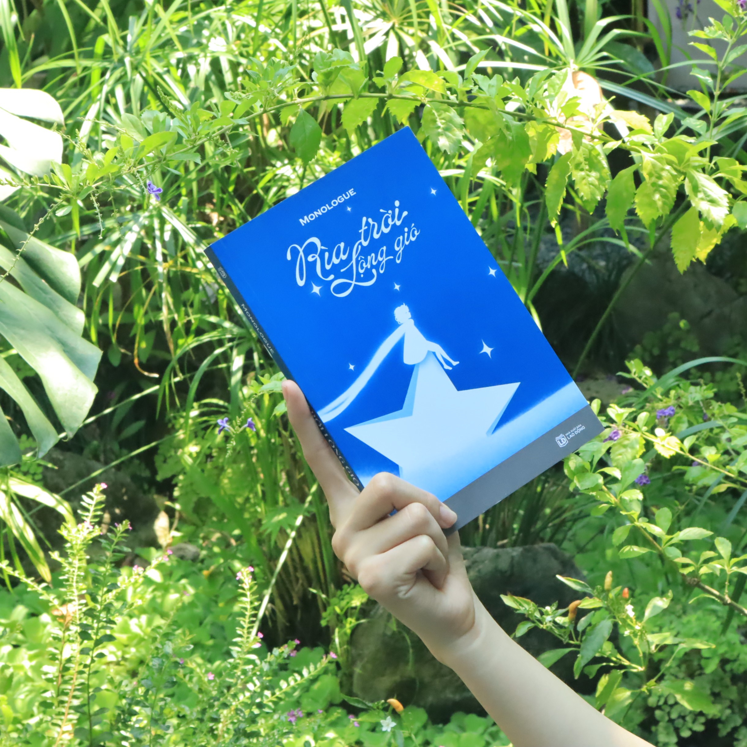 rìa trời lộng gió - Ảnh 4