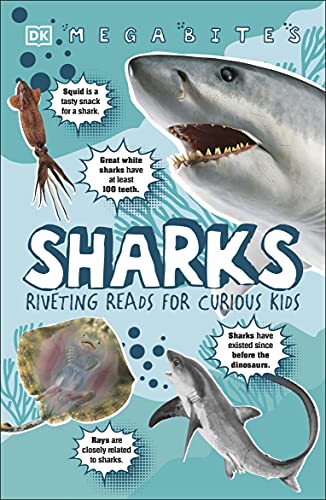 riveting reads for curious kids - sharks - Ảnh 3