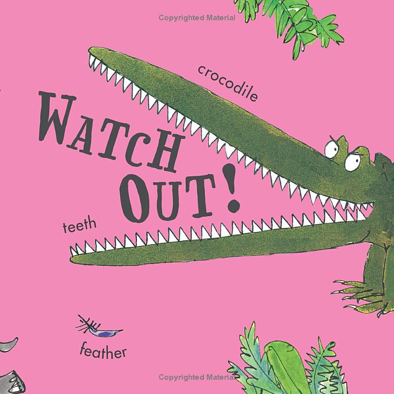 roald dahl words - Ảnh 6