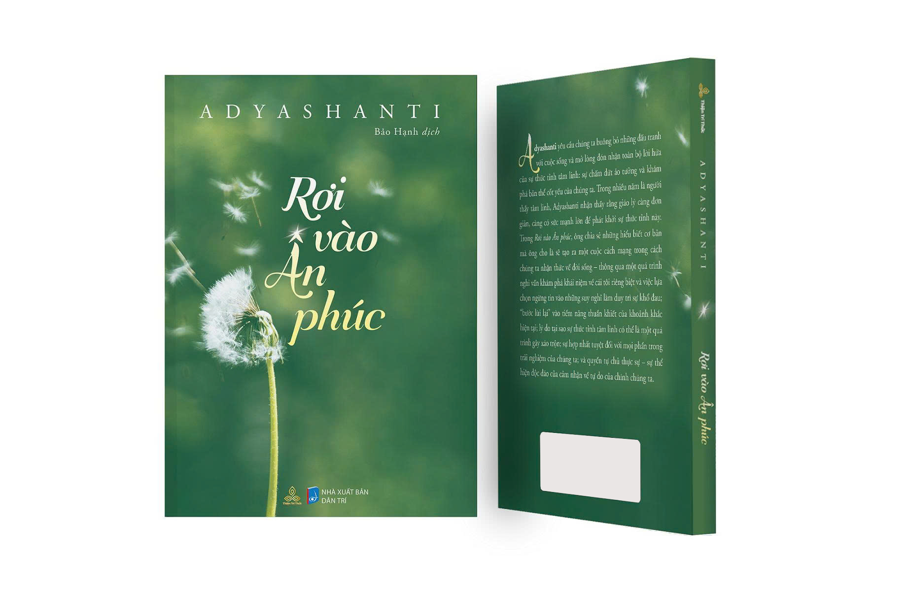 Rơi Vào Ân Phúc - Ảnh 3