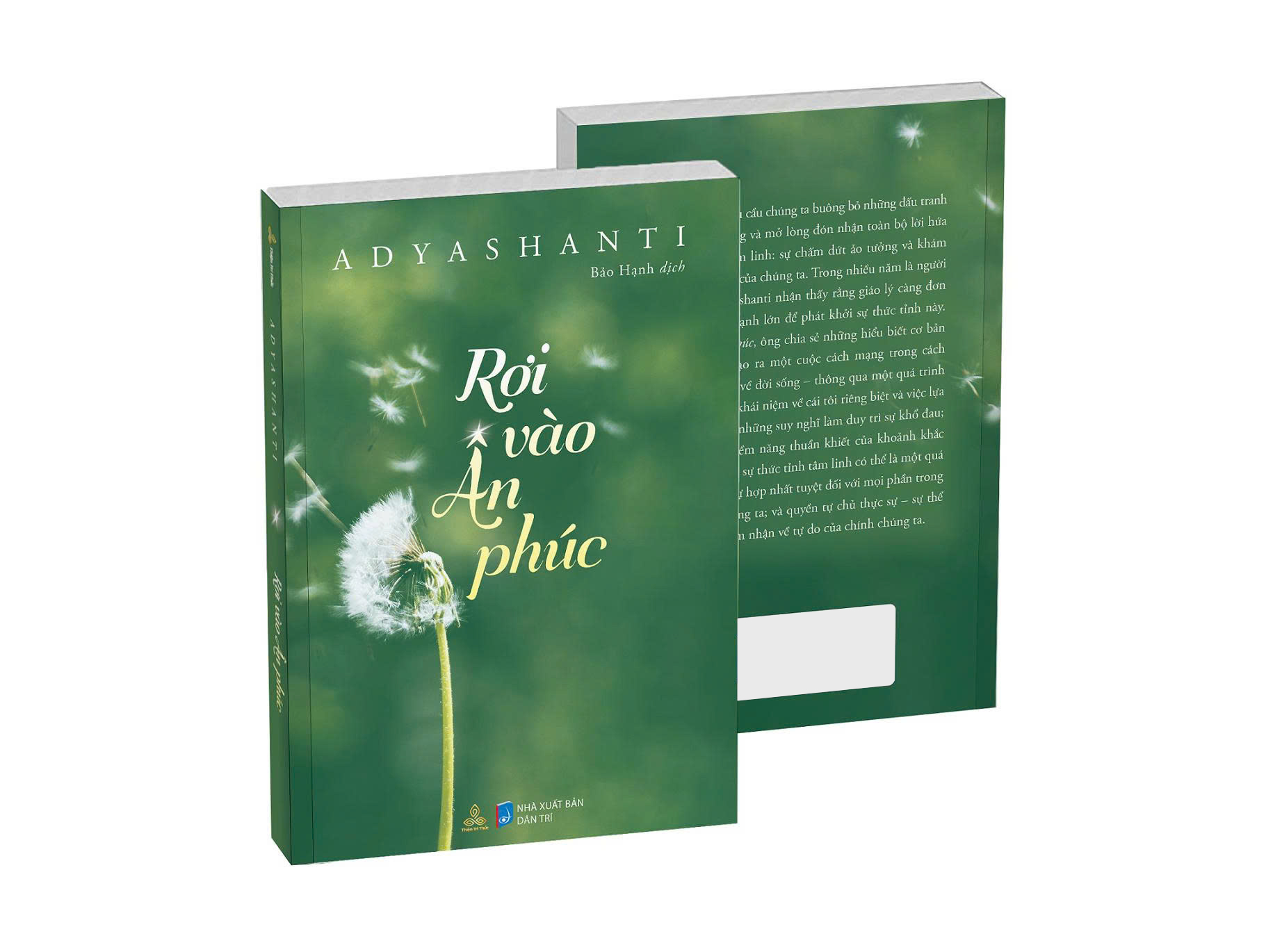 Rơi Vào Ân Phúc - Ảnh 4