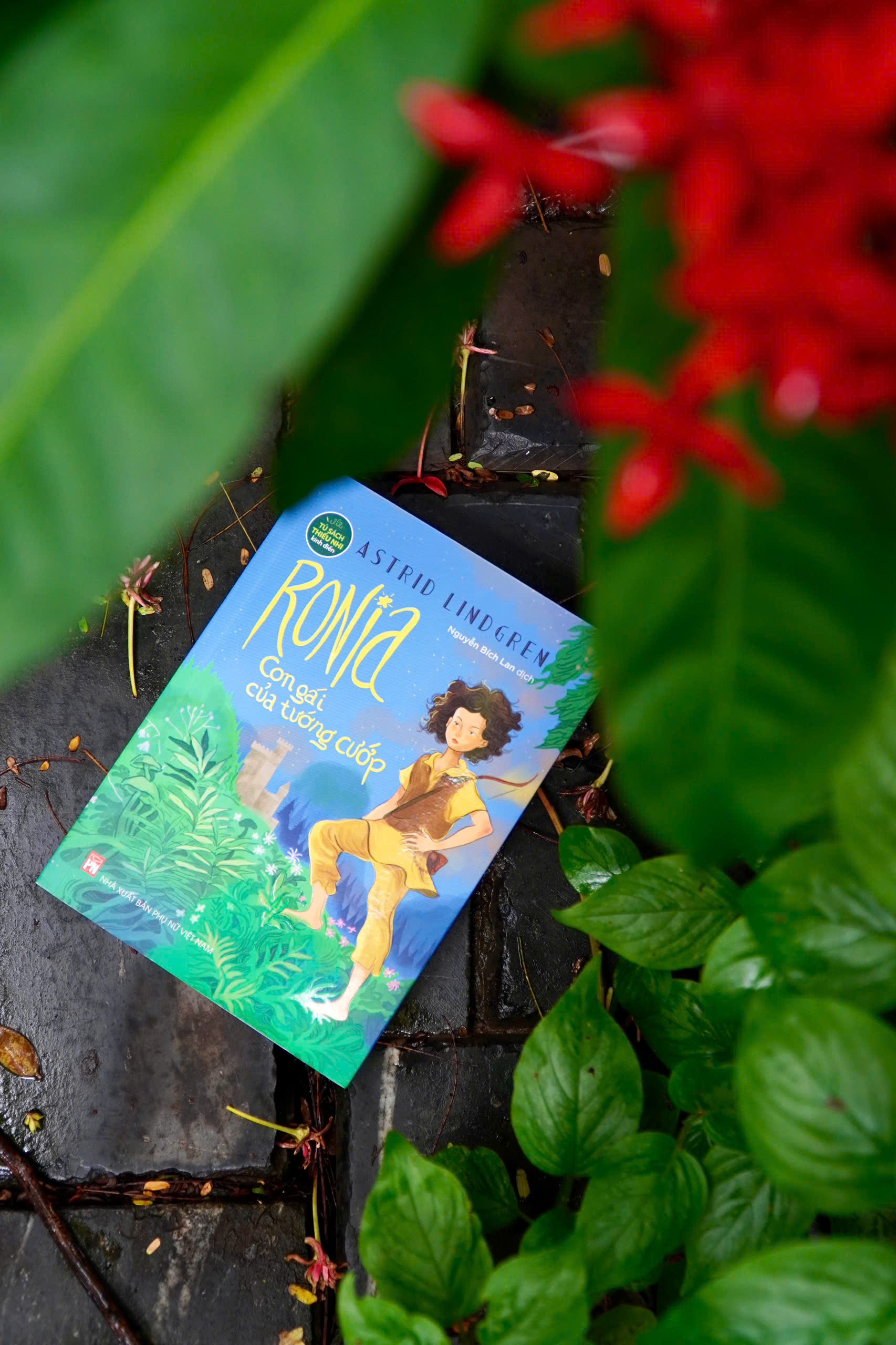 Ronia - Con Gái Của Tướng Cướp - Ảnh 4