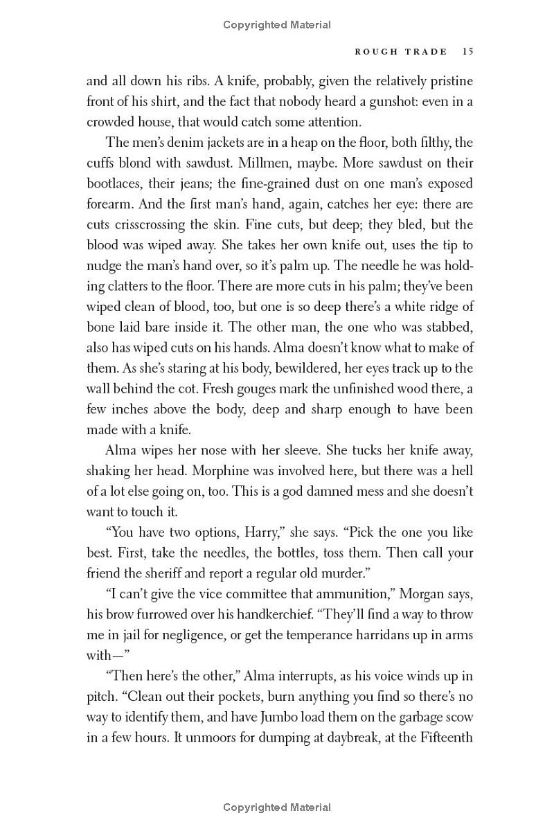 rough trade - a novel - Ảnh 14