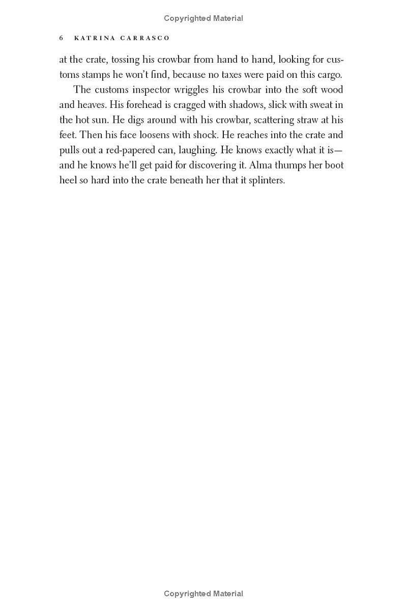 rough trade - a novel - Ảnh 5