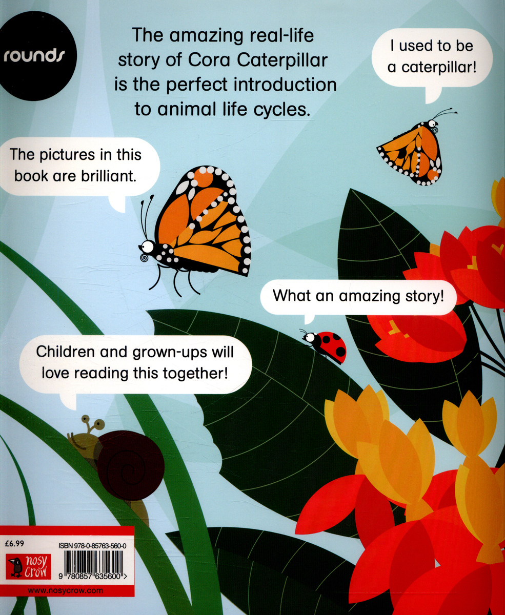 rounds: cora caterpillar pb - Ảnh 3