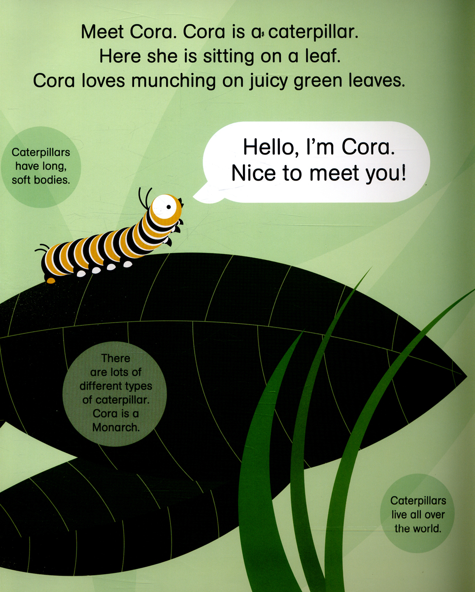 rounds: cora caterpillar pb - Ảnh 5