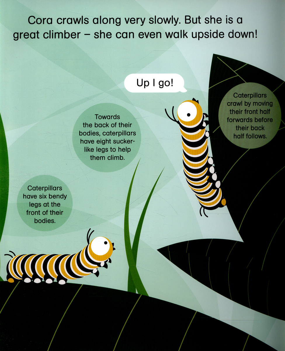 rounds: cora caterpillar pb - Ảnh 6