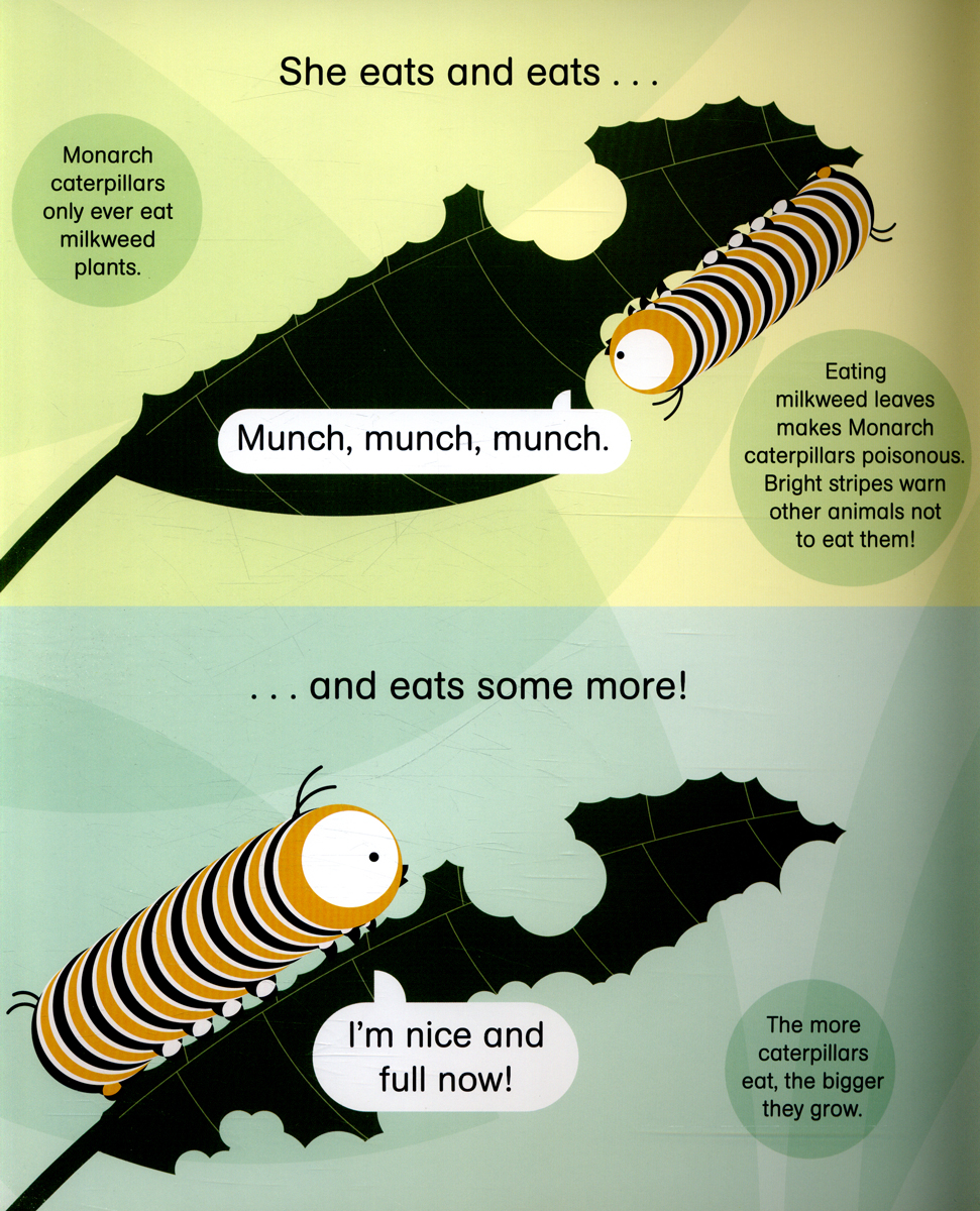 rounds: cora caterpillar pb - Ảnh 7