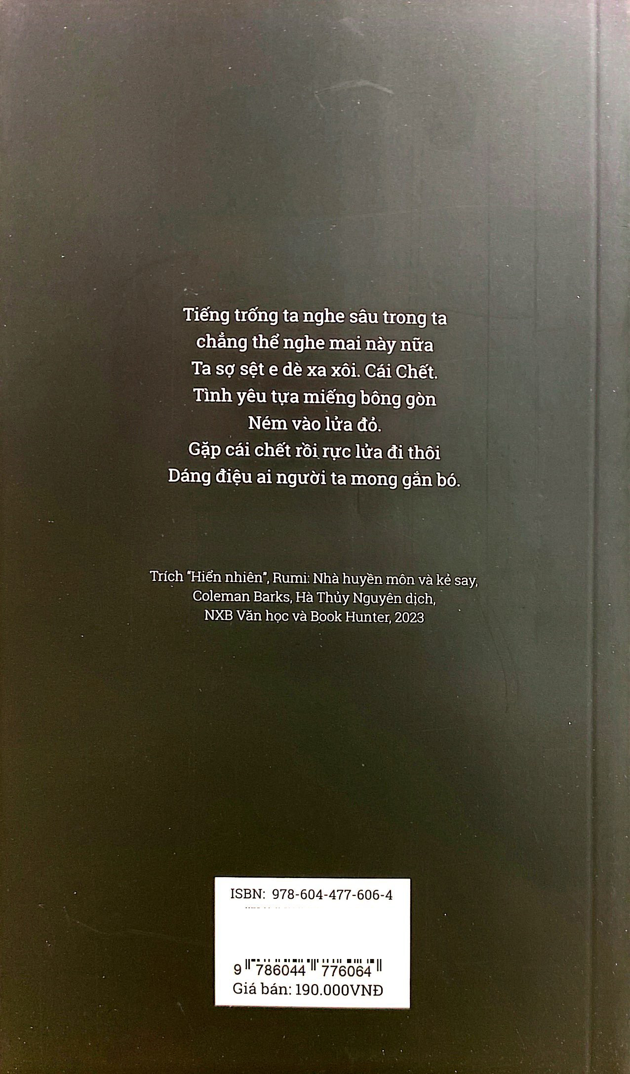 rumi nhà huyền môn và kẻ say - Ảnh 12