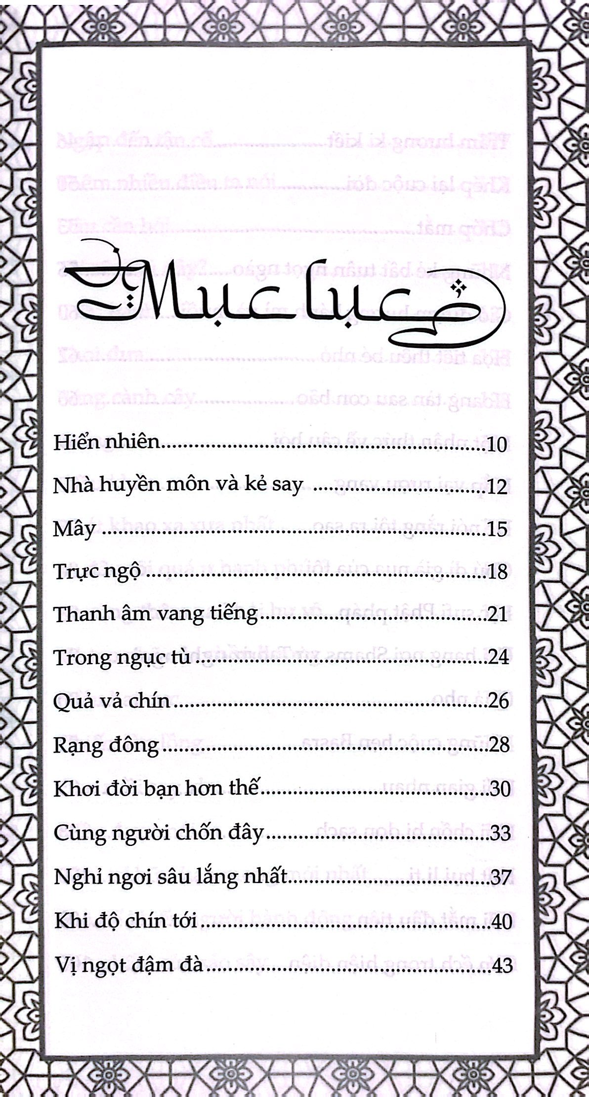 rumi nhà huyền môn và kẻ say - Ảnh 3