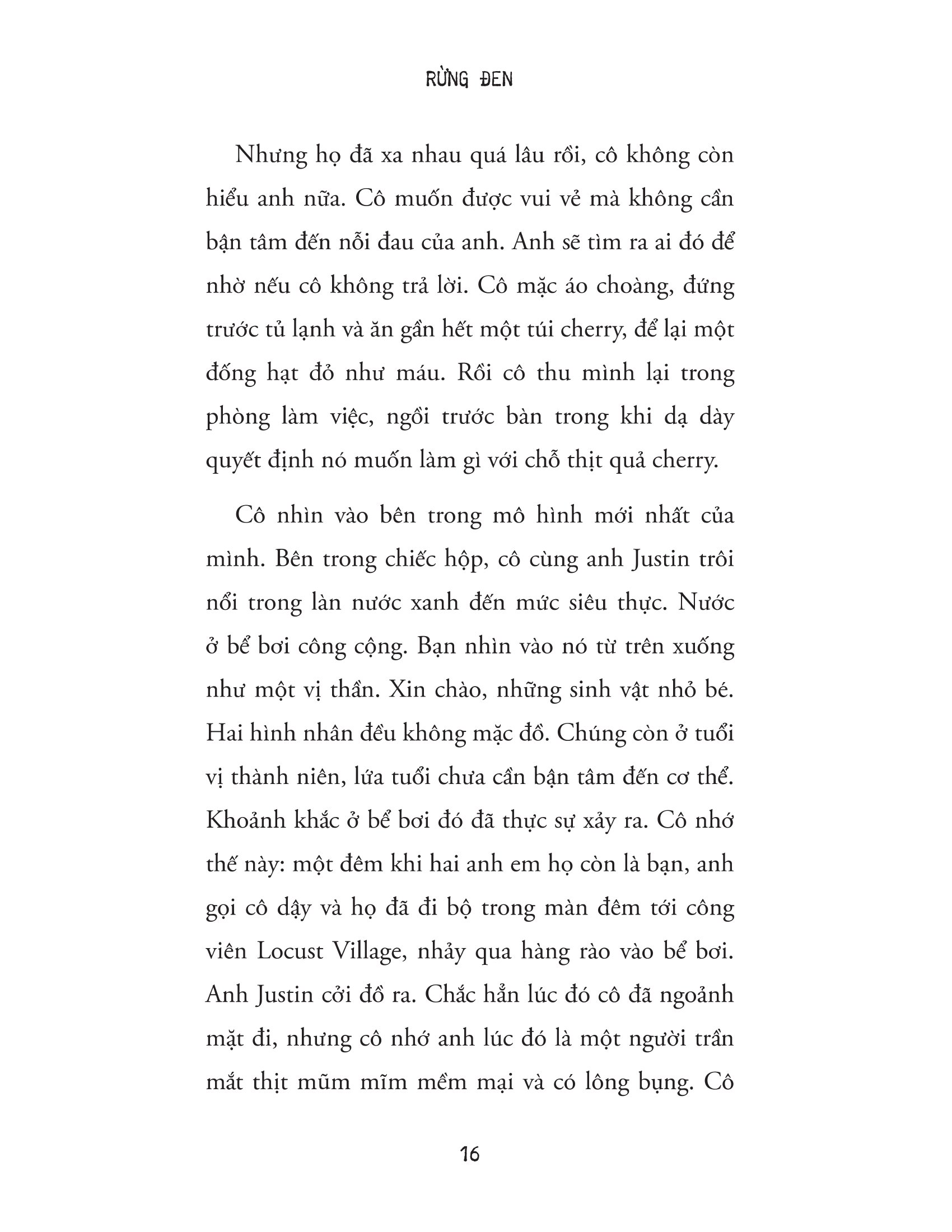 rừng đen - Ảnh 14