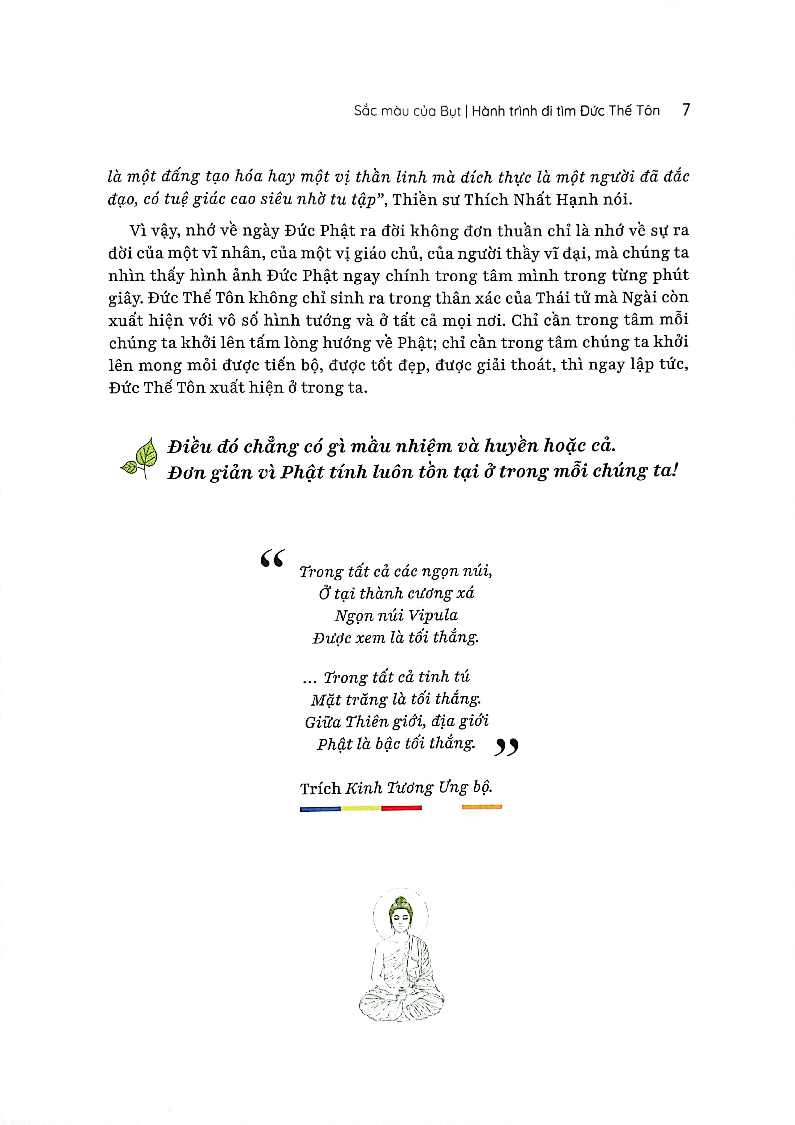 sắc màu của bụt - hành trình đi tìm đức thế tôn - Ảnh 7