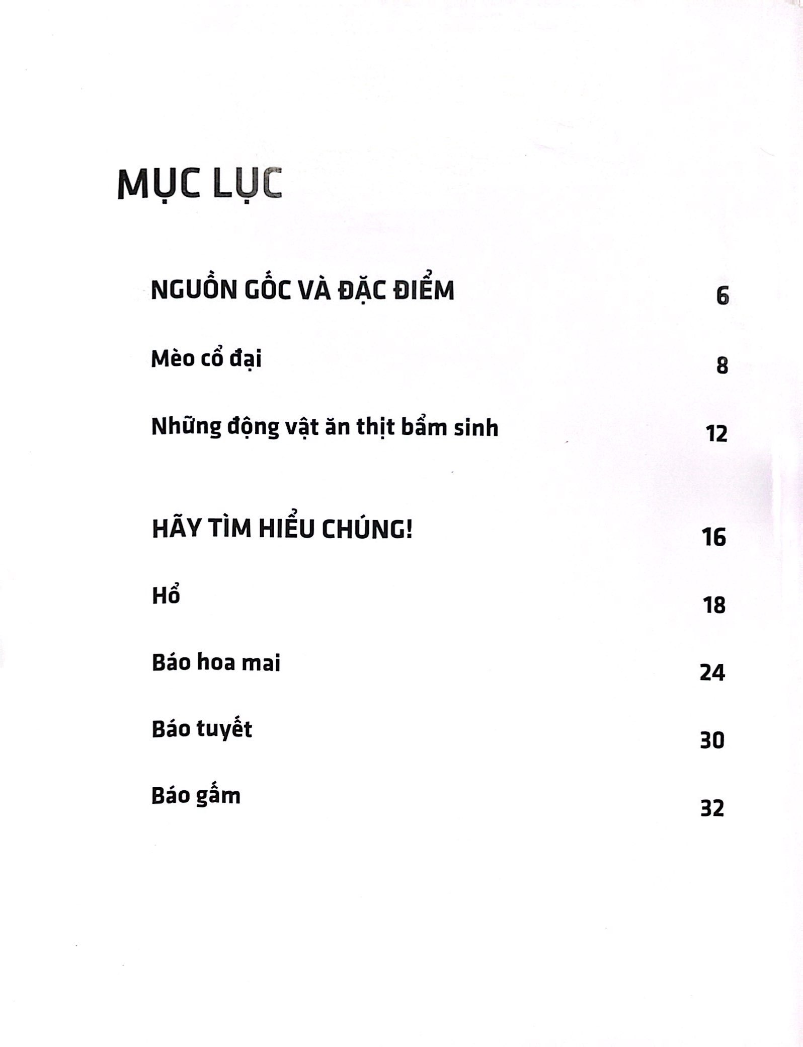 sách 3d: những loài thú lớn họ mèo - Ảnh 3