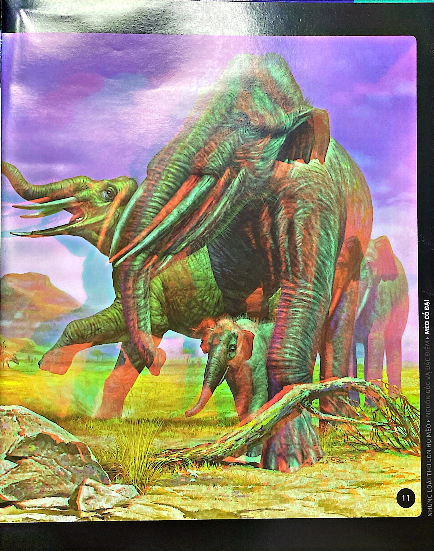 sách 3d: những loài thú lớn họ mèo - Ảnh 5