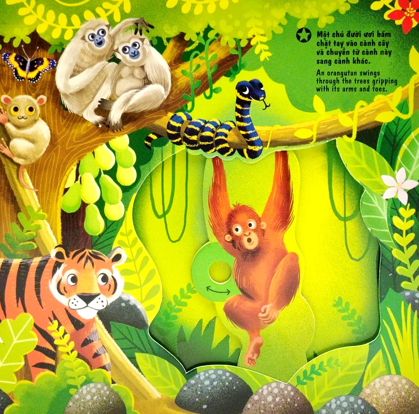 sách chuyển động - first explorers - in the jungle - trong khu rừng - Ảnh 4