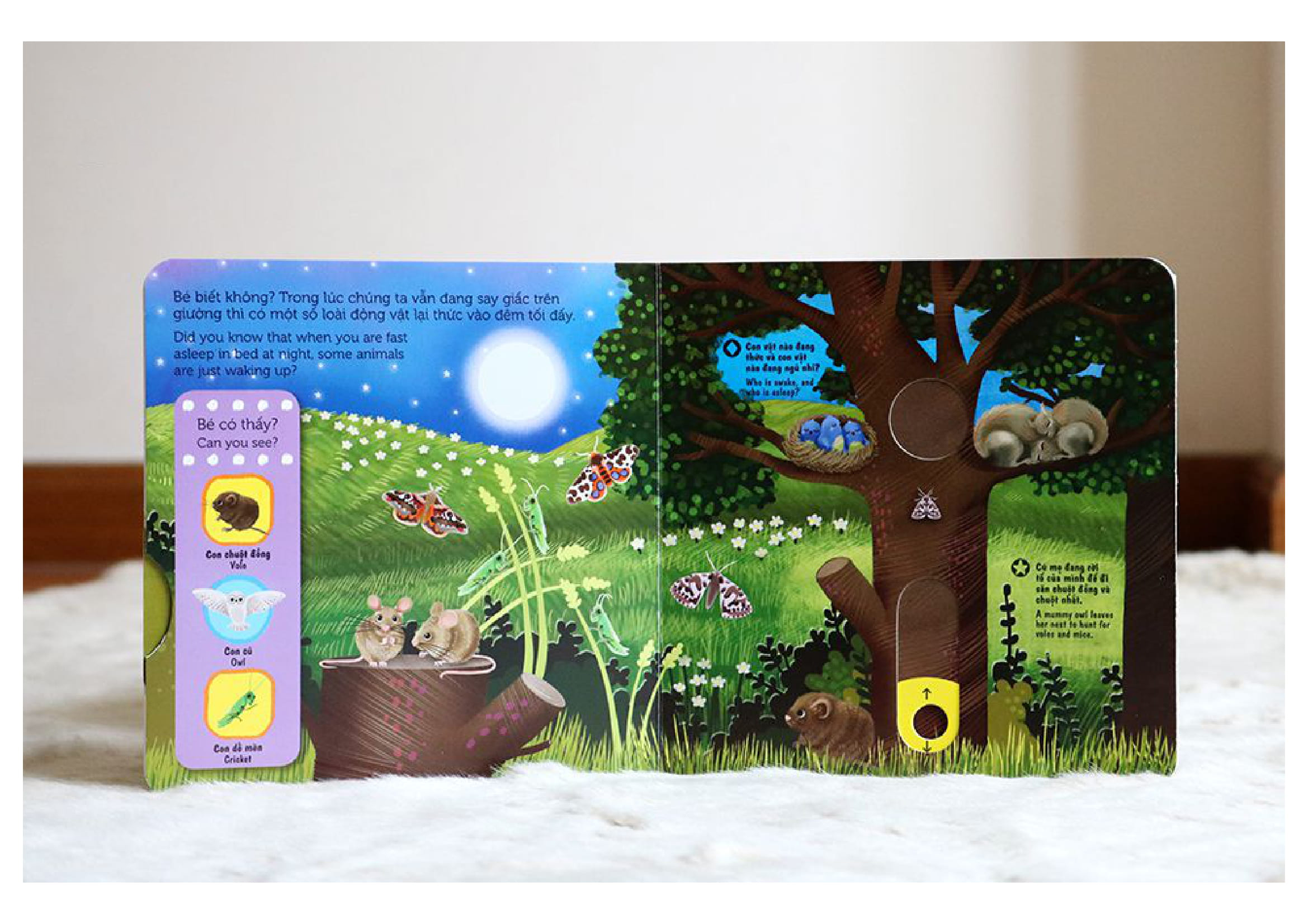 Sách Chuyển Động - First Explorers - Night Animals - Động Vật Ban Đêm - Ảnh 2