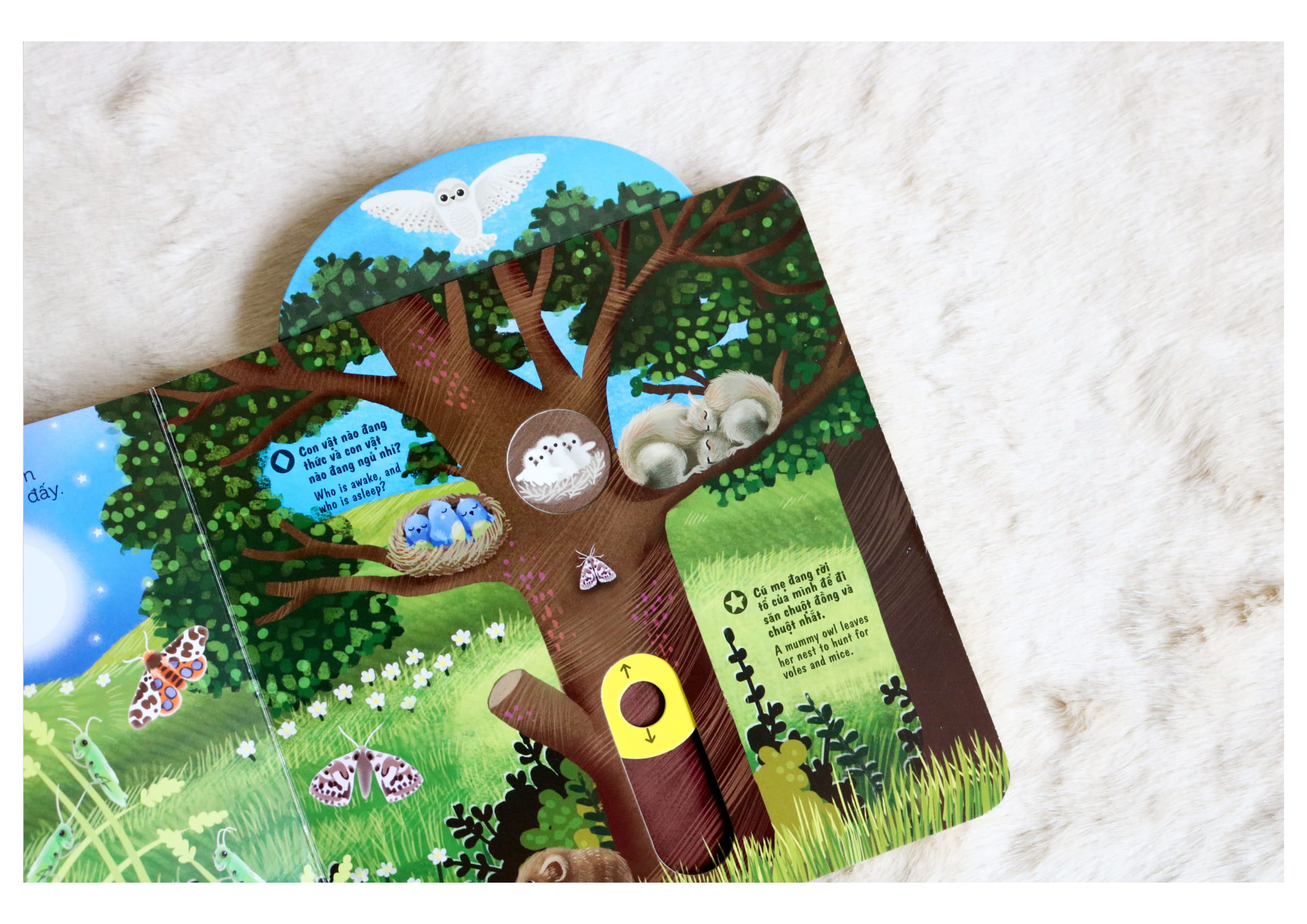 Sách Chuyển Động - First Explorers - Night Animals - Động Vật Ban Đêm - Ảnh 5