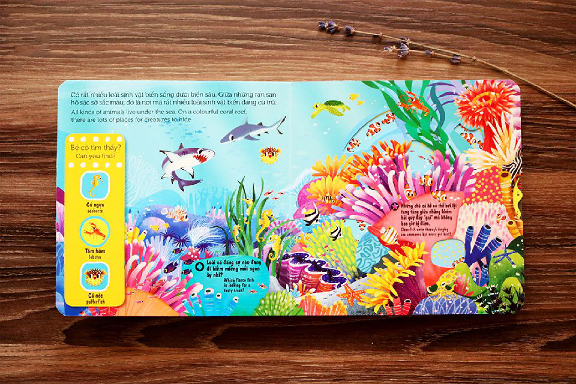 sách chuyển động - first explorers - sea creatures - sinh vật biển - Ảnh 4