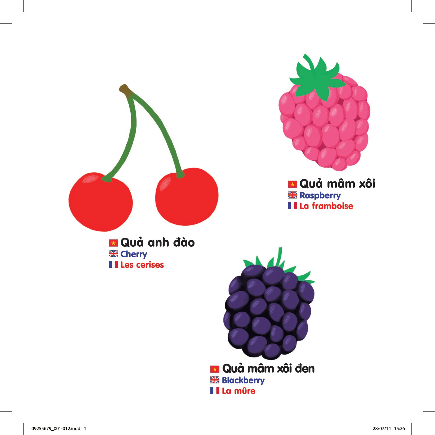 sách chuyển động thông minh đa ngữ việt - anh - pháp: các loại hoa quả - fruits - les fruits (tái bản) - Ảnh 4