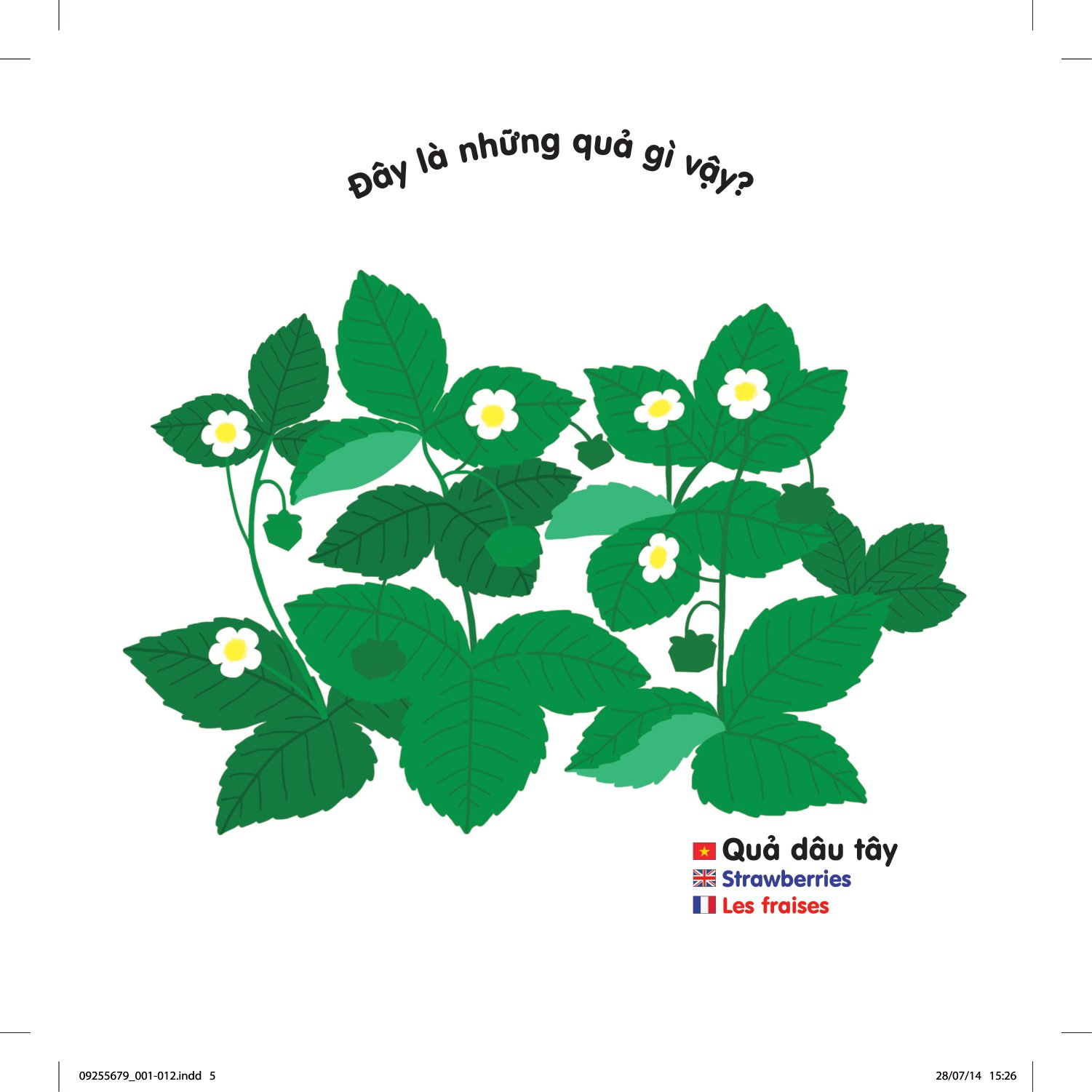 sách chuyển động thông minh đa ngữ việt - anh - pháp: các loại hoa quả - fruits - les fruits (tái bản) - Ảnh 5