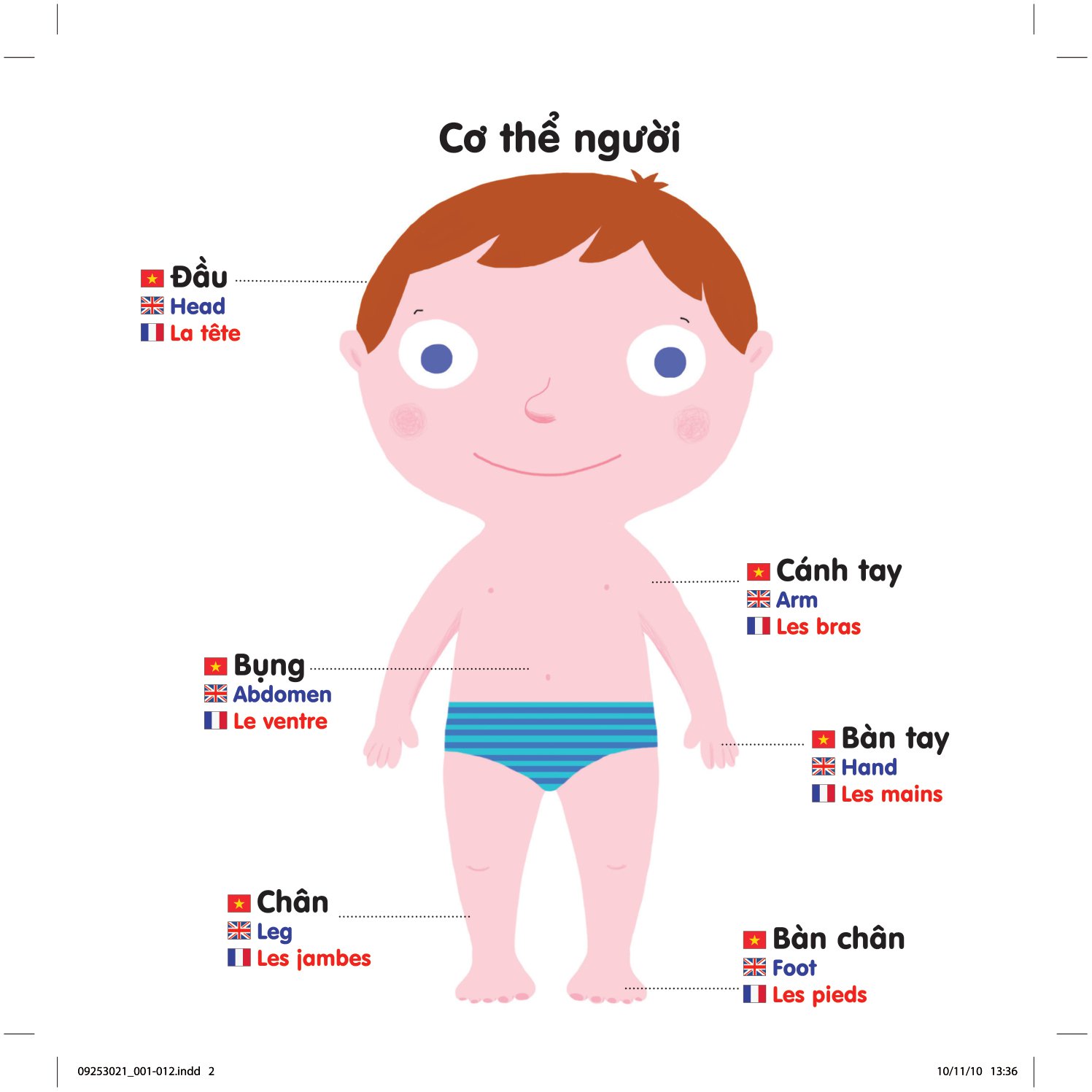 sách chuyển động thông minh đa ngữ việt - anh - pháp: cơ thể người - the body - le corps - Ảnh 3