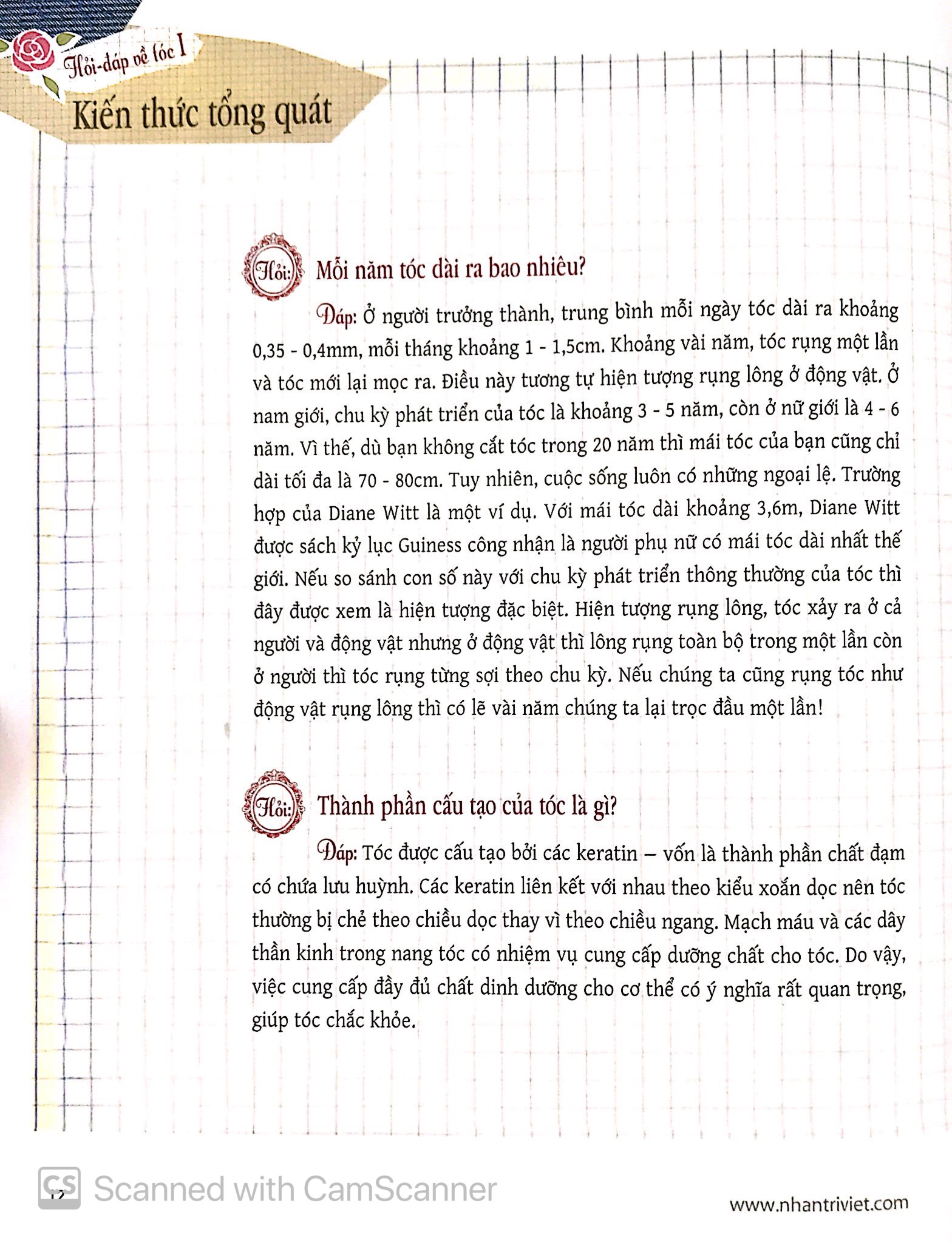 sách dạy tạo kiểu tóc - Ảnh 6