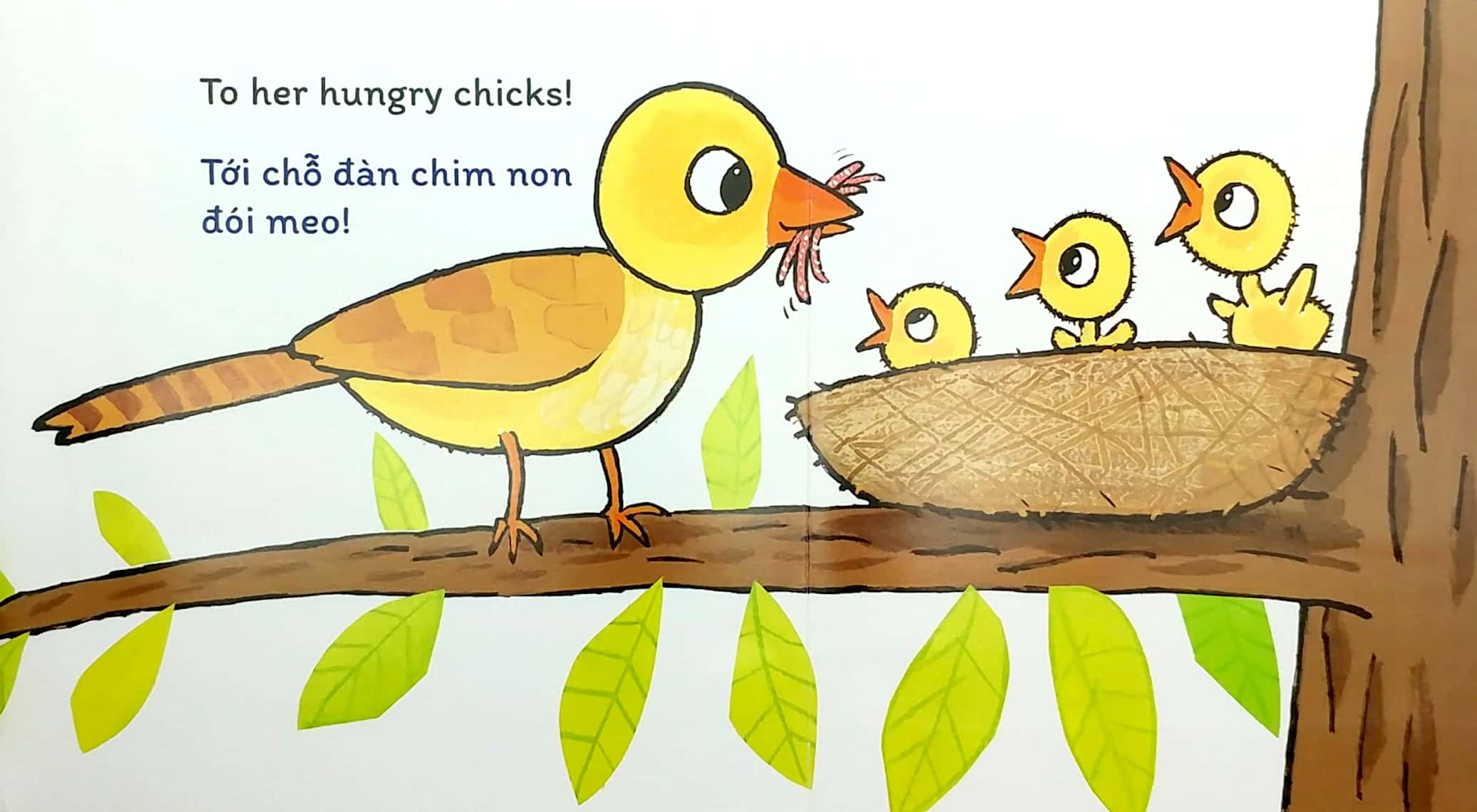 sách đố vui lật giở song ngữ - đoán xem ở đâu? - Ảnh 5