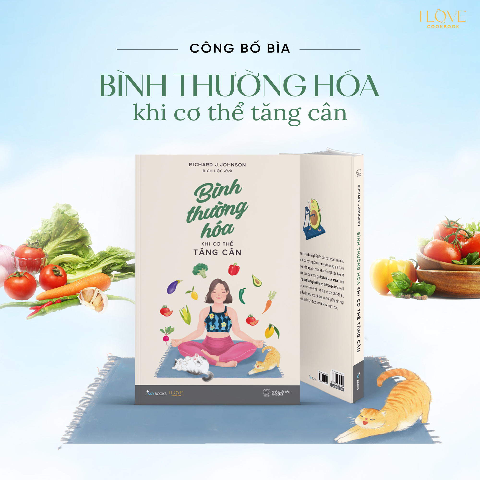 [Sách Đồng Giá 40K] Bình Thường Hóa Khi Cơ Thể Tăng Cân - Ảnh 3