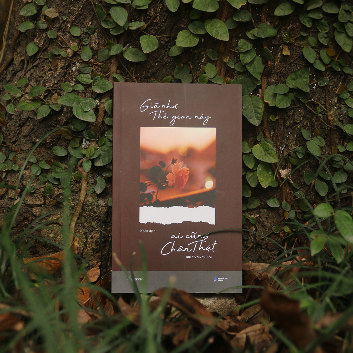 [Sách Đồng Giá 40K] Giá Như Thế Gian Này Ai Cũng Chân Thật - Ảnh 3