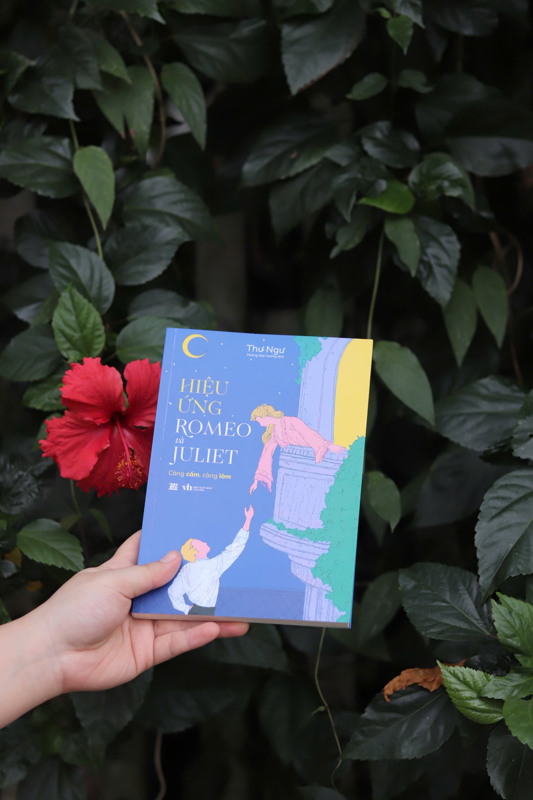 [Sách Đồng Giá 40K] Hiệu Ứng Romeo Và Juliet - Ảnh 4