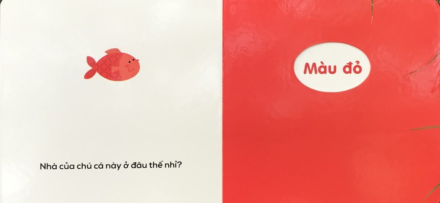 sách đục lỗ - ô cửa diệu kì - màu sắc - Ảnh 3