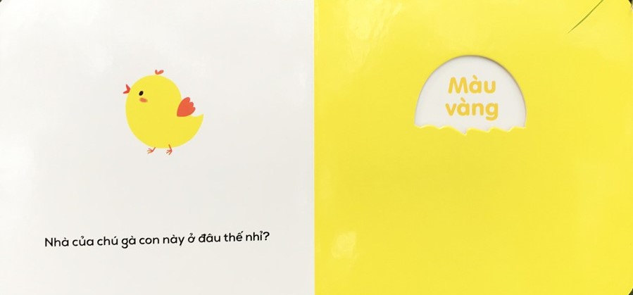 sách đục lỗ - ô cửa diệu kì - màu sắc - Ảnh 5