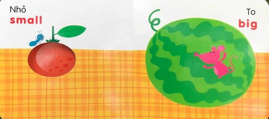 Sách Đục Lỗ - Ô Cửa Diệu Kì - Màu Sắc (Tái Bản 2025) - Ảnh 3