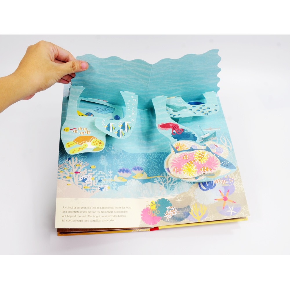 sách dựng hình 3d - whatℹs below? - bên dưới có gì? - Ảnh 5