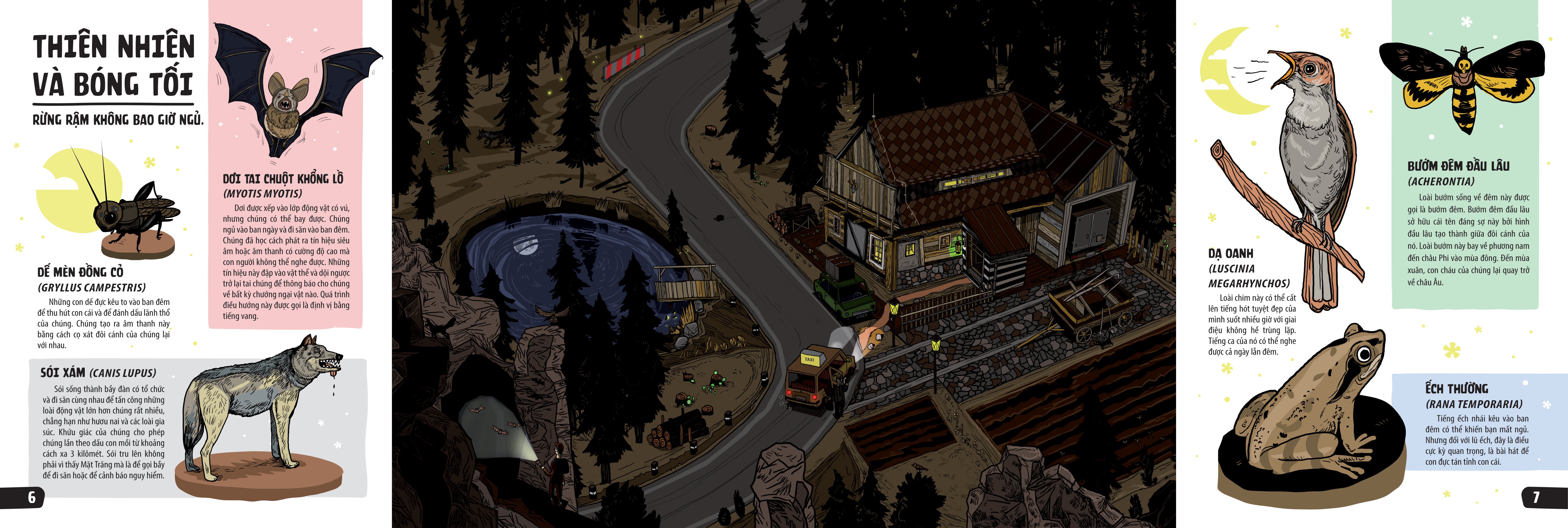 sách khổng lồ mở ra thế giới bí ẩn trong đêm - Ảnh 4