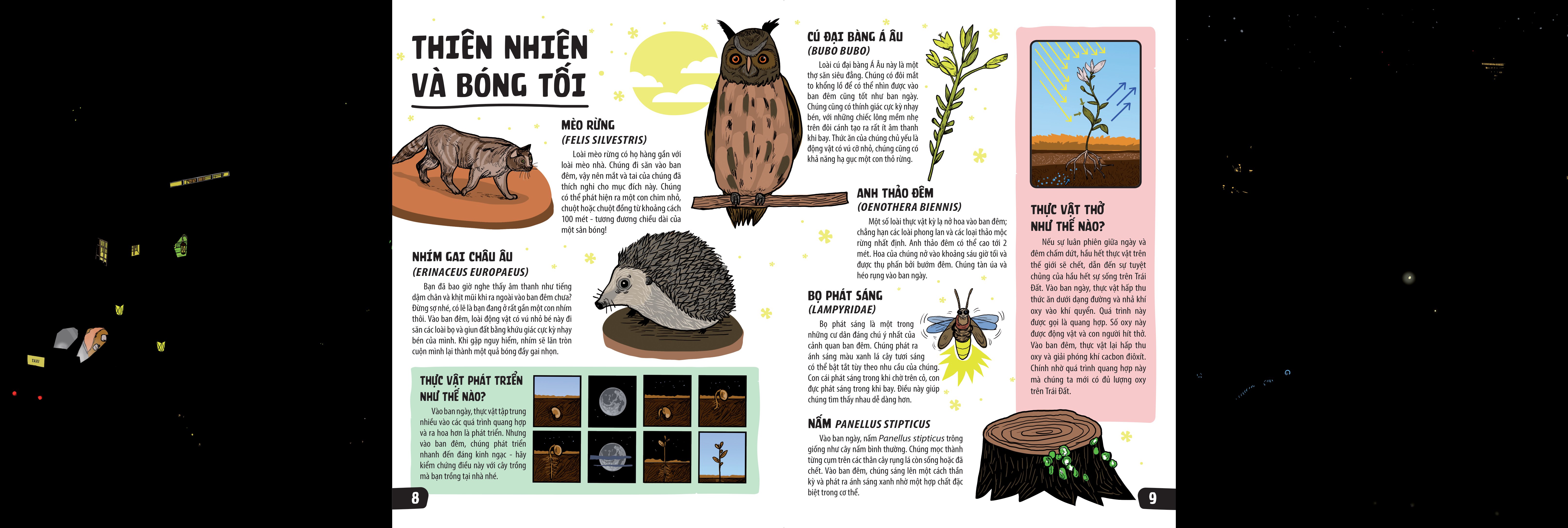 sách khổng lồ mở ra thế giới bí ẩn trong đêm - Ảnh 5