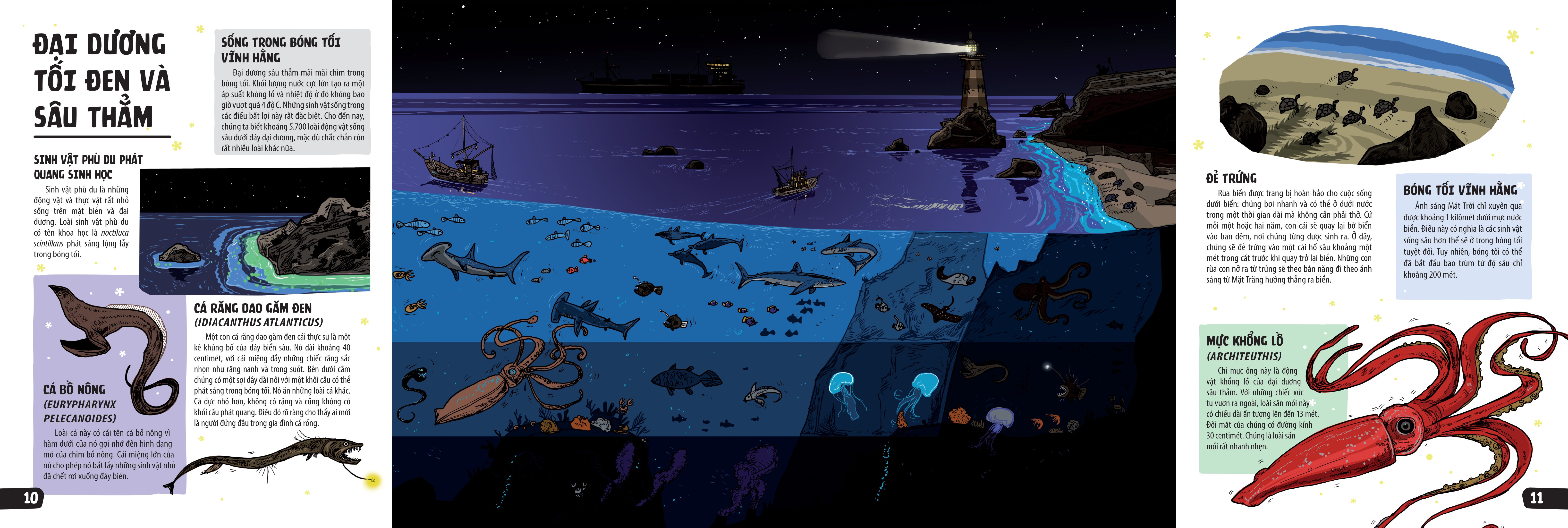 sách khổng lồ mở ra thế giới bí ẩn trong đêm - Ảnh 6