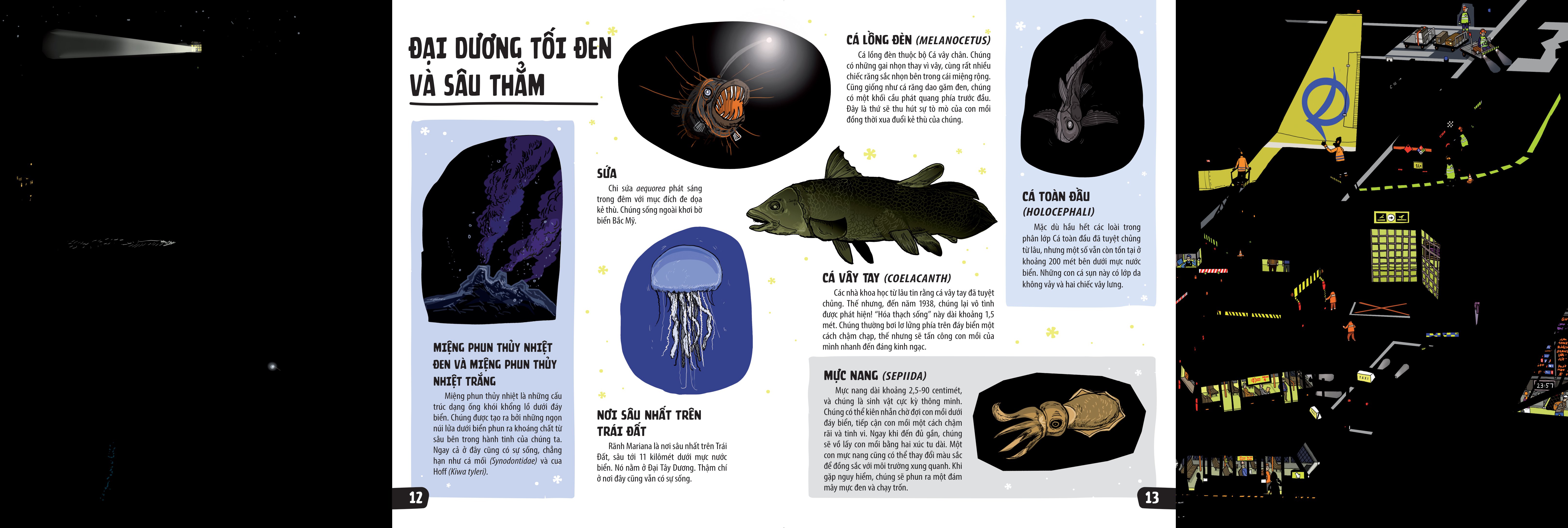 sách khổng lồ mở ra thế giới bí ẩn trong đêm - Ảnh 7